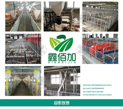 鑫佰加畜牧設備 專業(yè)打造犢牛用奶壺，助力高效養(yǎng)殖